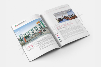 東莞一站式視覺營(yíng)銷服務(wù) 畫冊(cè)設(shè)計(jì)、LOGO設(shè)計(jì)、網(wǎng)站建設(shè)與宣傳片拍攝制作全解析